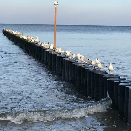 „nova Polana” Polanki Park Kołobrzeg
