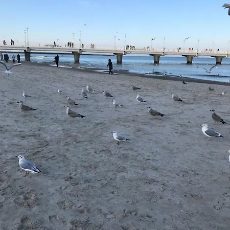 „nova Polana” Polanki Park Appartamento *