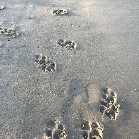 „nova Polana” Polanki Park Appartement *