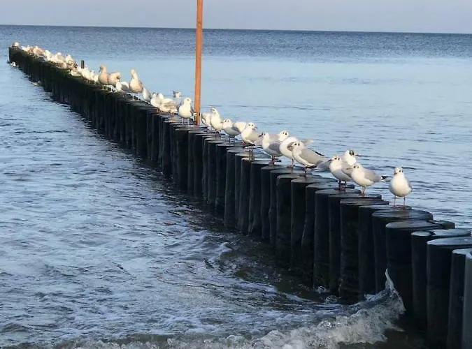 „nova Polana” Polanki Park Kołobrzeg