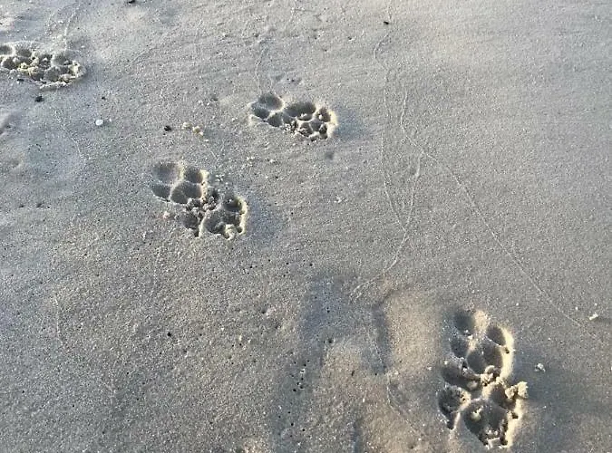 „nova Polana” Polanki Park Διαμέρισμα *