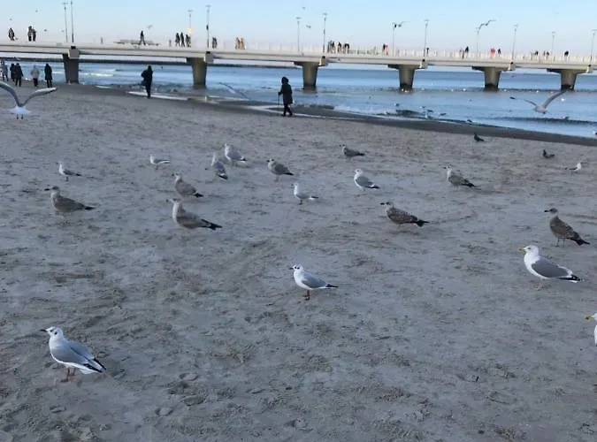 „nova Polana” Polanki Park Διαμέρισμα *